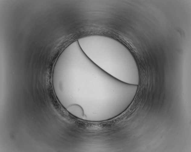X0000112730594200908201015