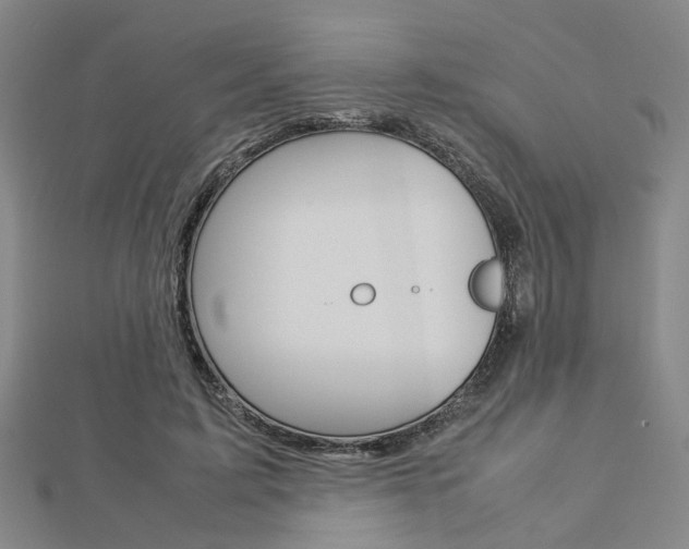 X0000112730595200908201015