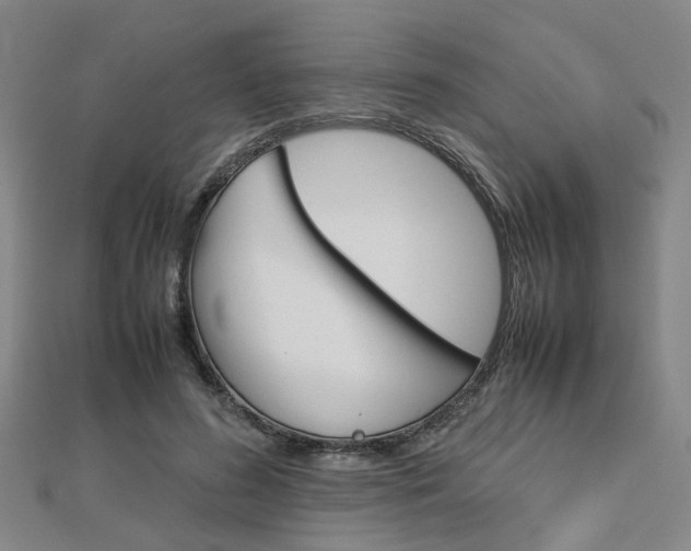 X0000112730596200908201015