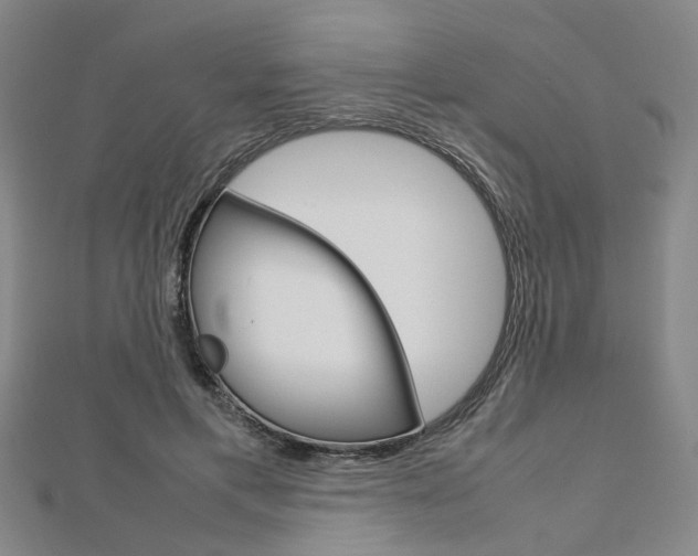 X0000112730597200908201015