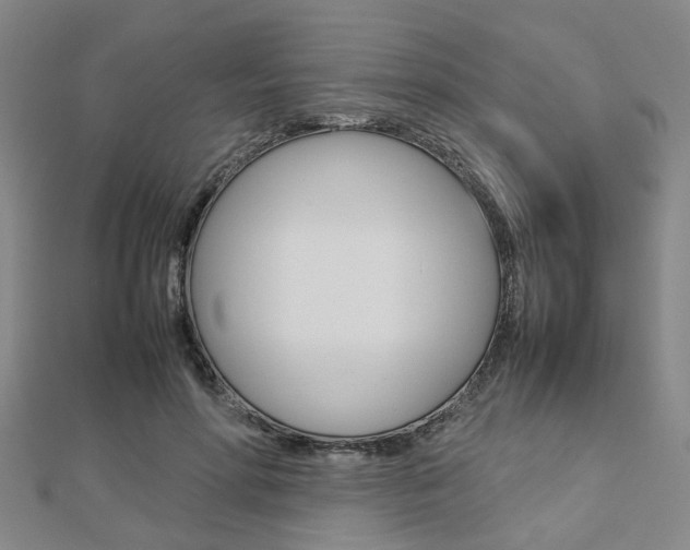 X0000112730598200908201015