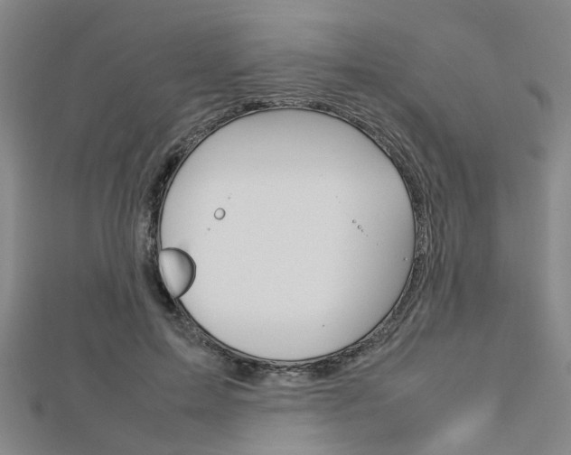 X0000112730599200908201015