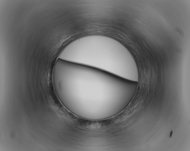 X0000112730600200908201015