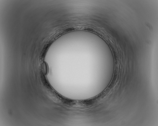 X0000112730601200908201015