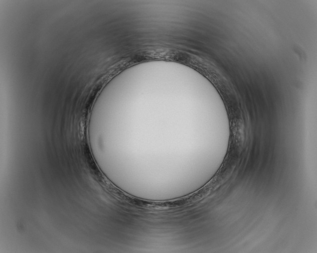 X0000112730602200908201015