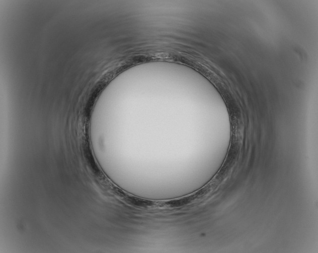 X0000112730603200908201015