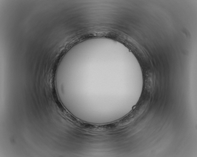 X0000112730604200908201015