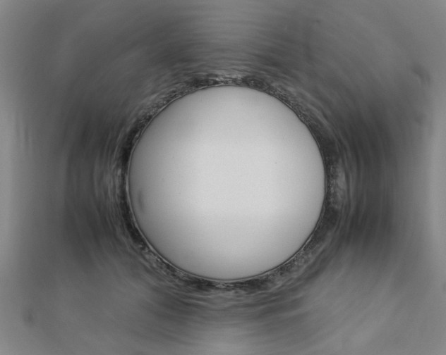 X0000112730608200908201015
