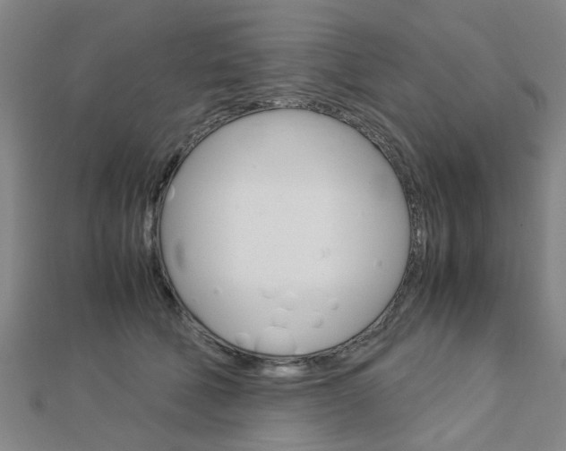 X0000112730610200908201015