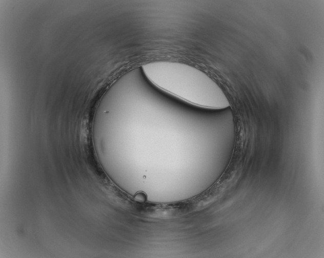 X0000112730612200908201015