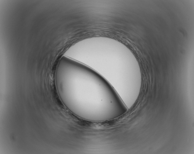 X0000112730613200908201015