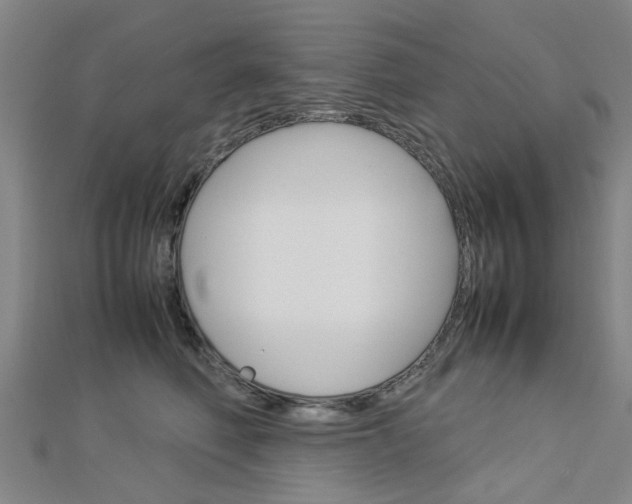 X0000112730614200908201015
