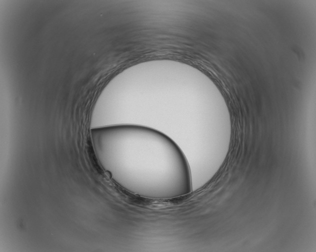 X0000112730617200908201015