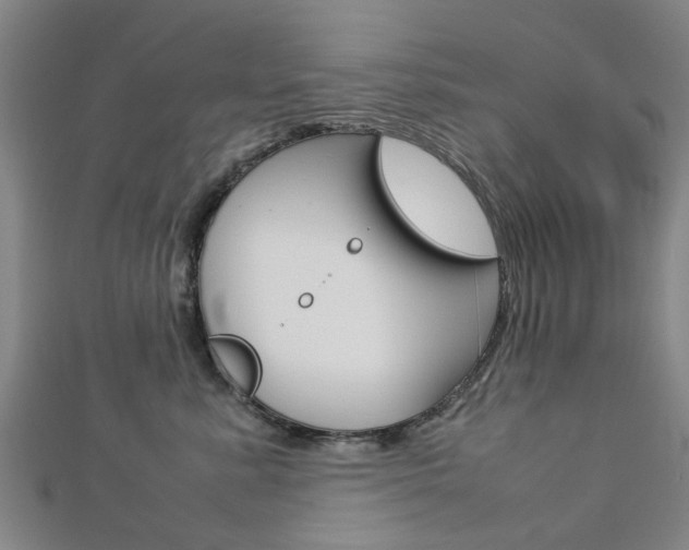 X0000112730619200908201015