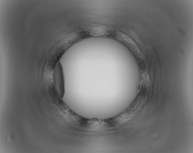 X0000112730621200908201015