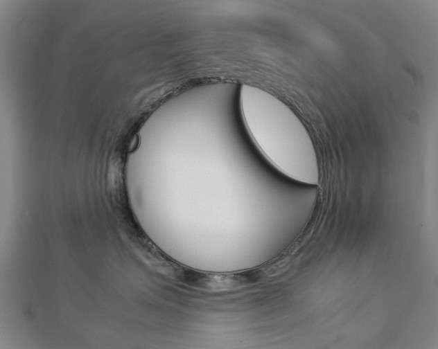 X0000112730623200908201015