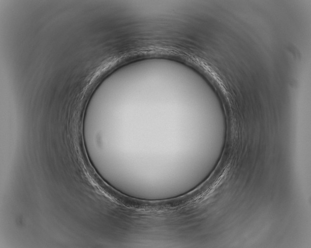 X0000112730625200908201014
