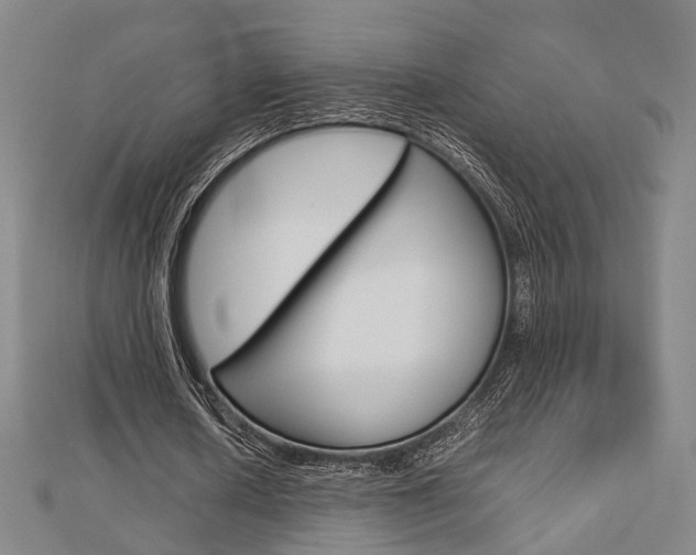 X0000112730626200908201014