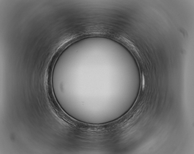 X0000112730627200908201014
