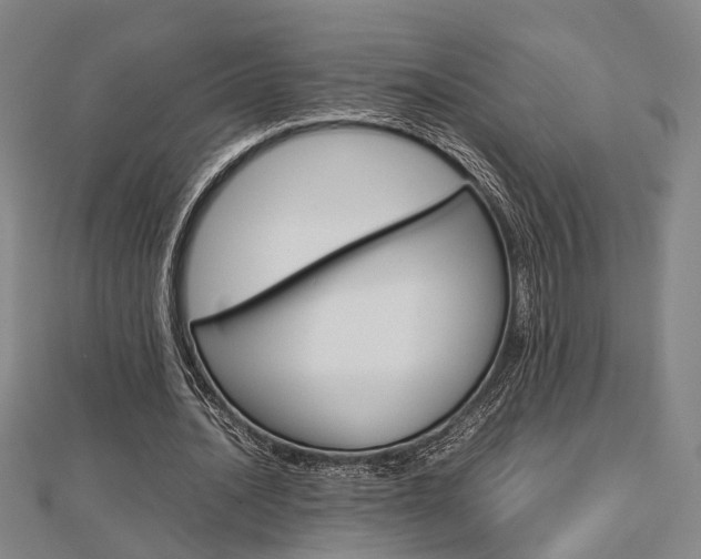 X0000112730628200908201014
