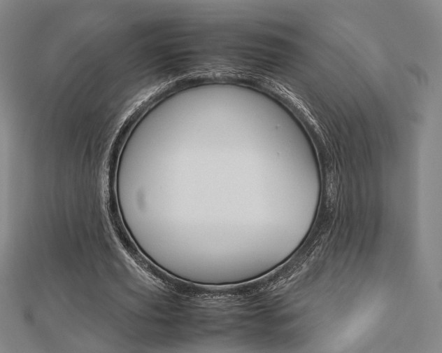 X0000112730629200908201014