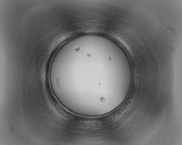 X0000112730631200908201014