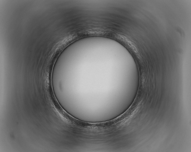 X0000112730633200908201014