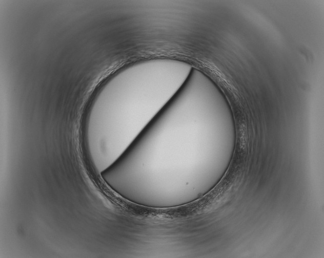X0000112730634200908201014