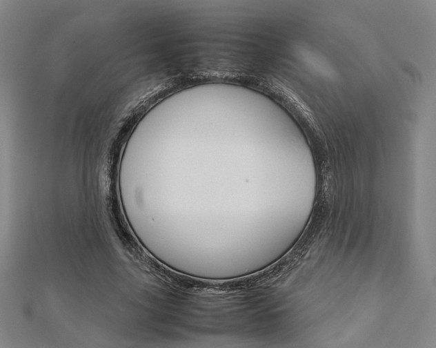X0000112730635200908201014