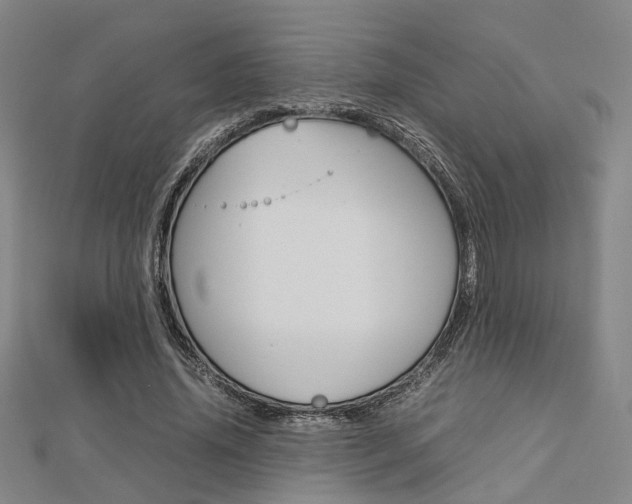 X0000112730636200908201014