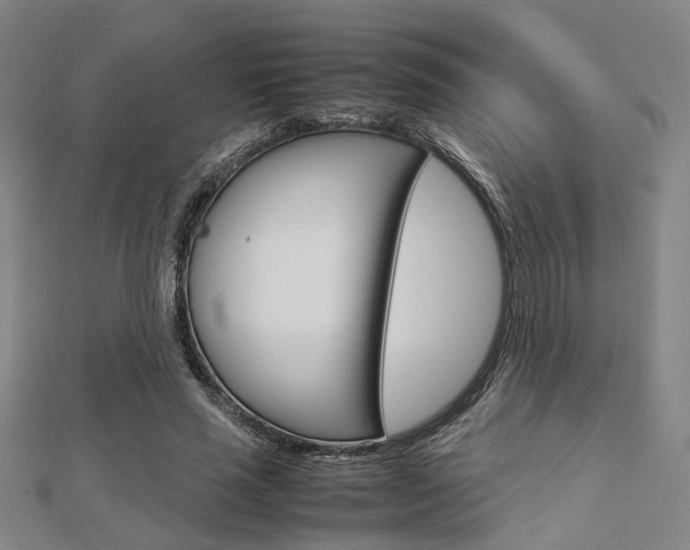X0000112730637200908201014