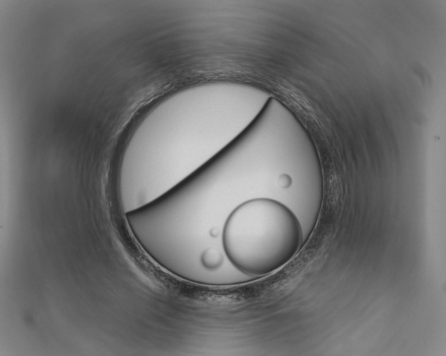 X0000112730638200908201014