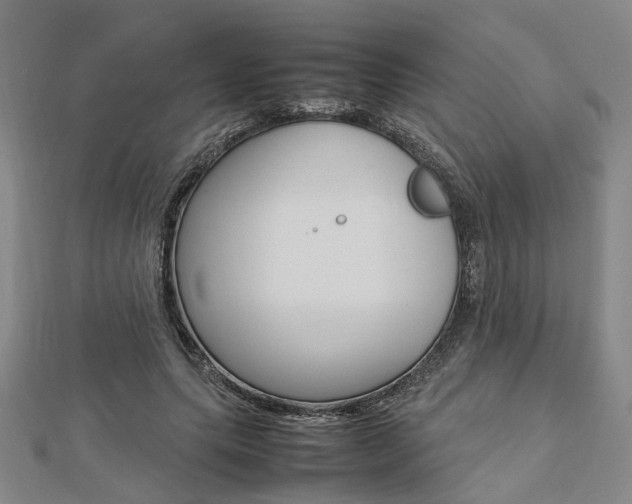 X0000112730639200908201014