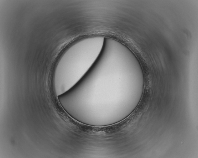 X0000112730640200908201014
