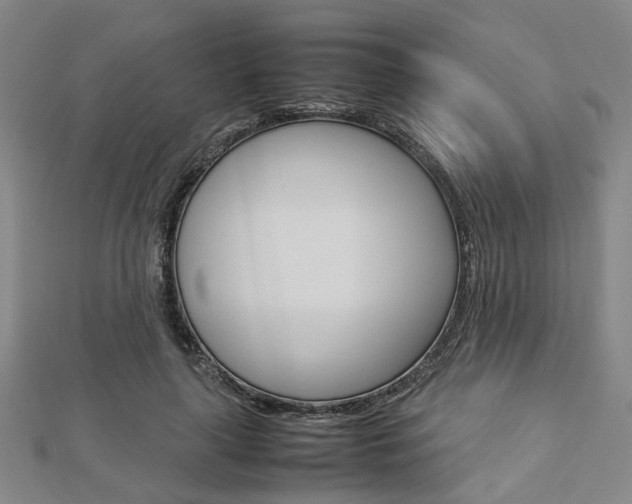 X0000112730643200908201014