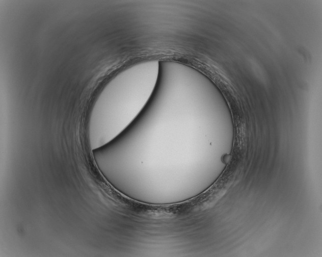 X0000112730644200908201014