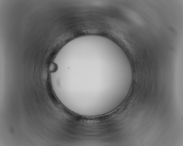X0000112730645200908201014