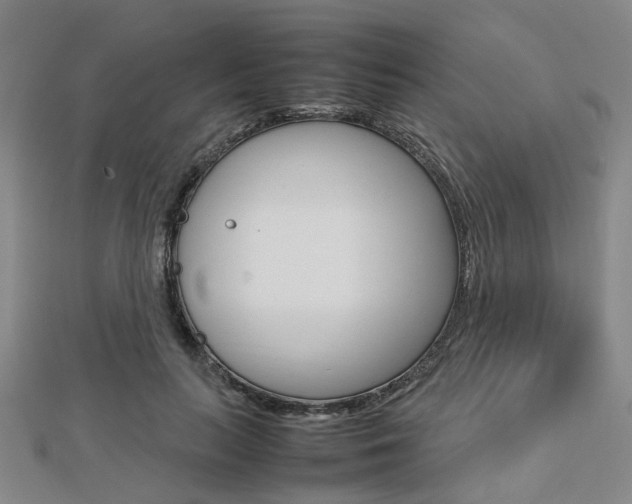 X0000112730647200908201014