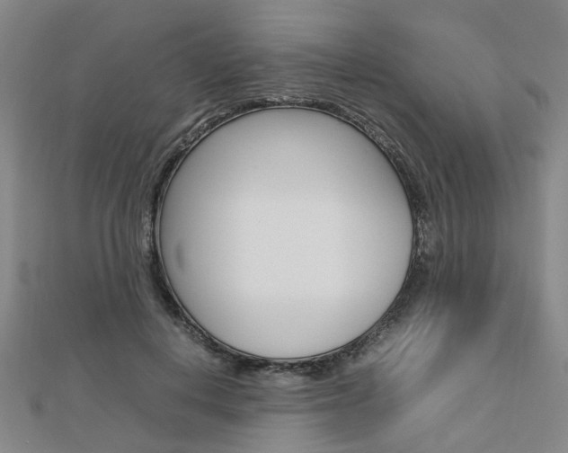 X0000112730648200908201014