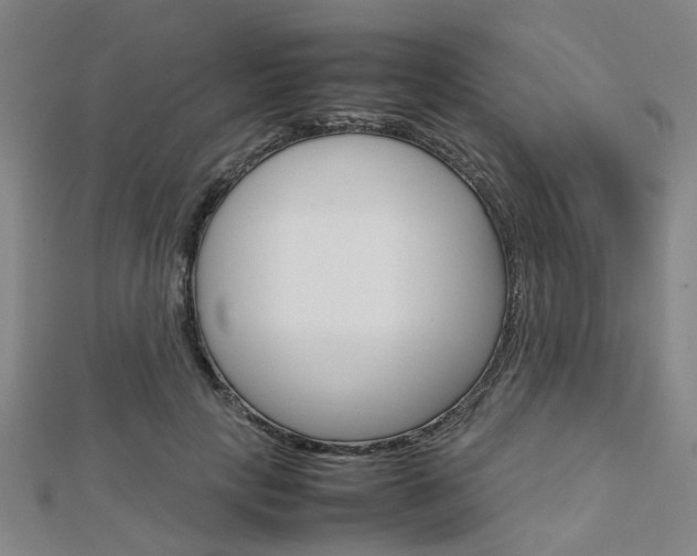 X0000112730649200908201014