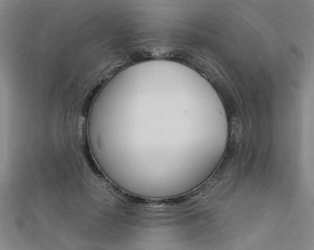X0000112730650200908201014