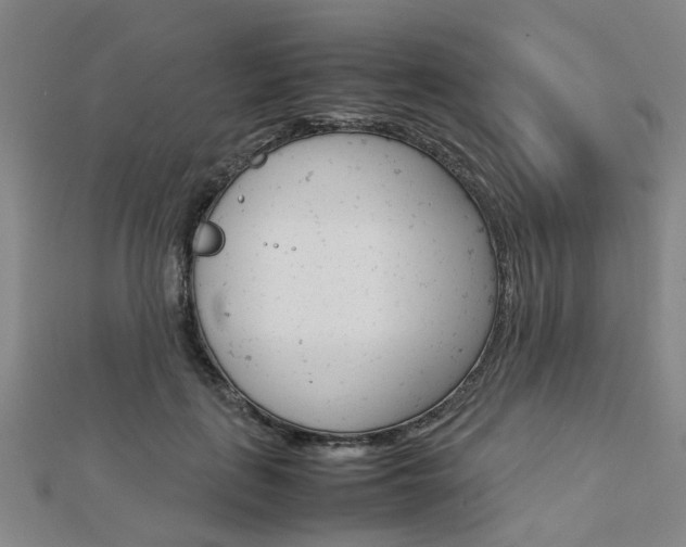 X0000112730651200908201014