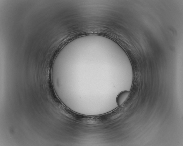 X0000112730652200908201014