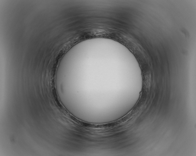 X0000112730653200908201014