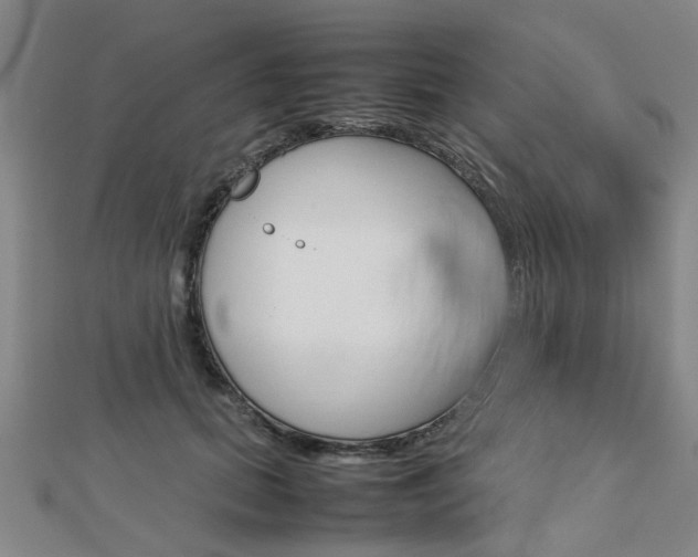X0000112730655200908201014