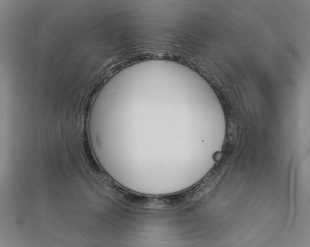 X0000112730656200908201014