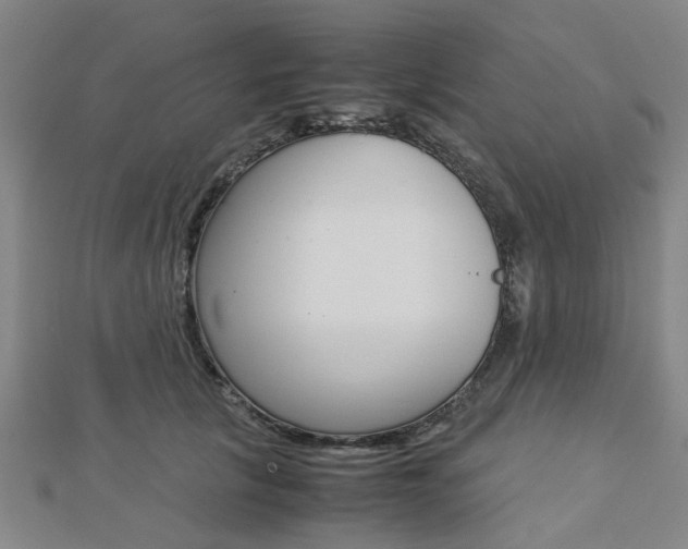 X0000112730657200908201014