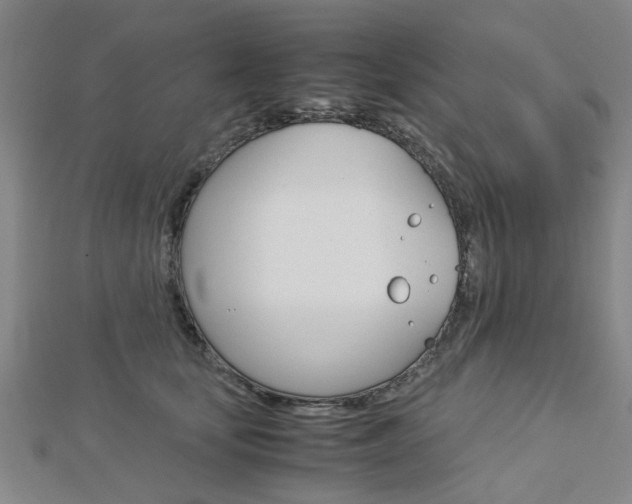 X0000112730659200908201014