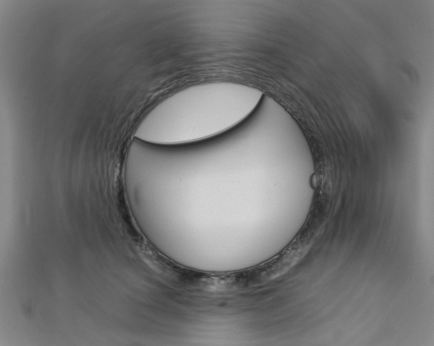 X0000112730660200908201014