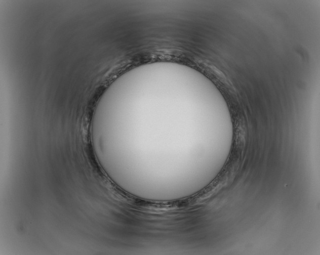X0000112730661200908201014